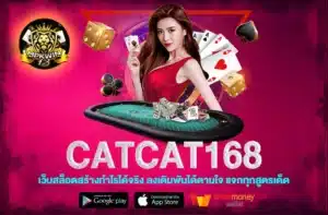 catcat168